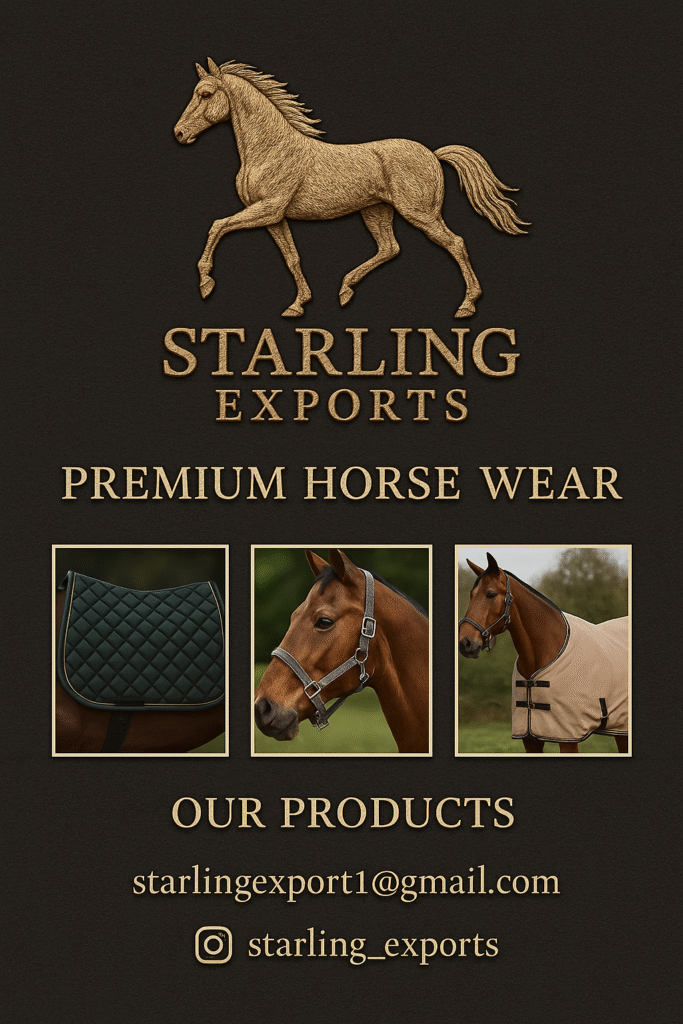 77954fba fdf4 45e6 9cec a3d1cce04049