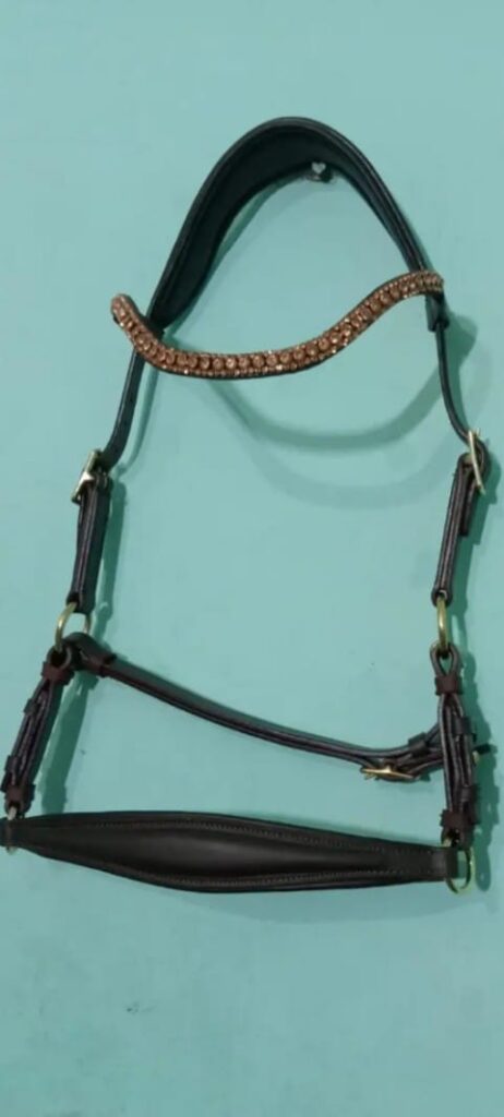 318a366c e54f 4dcb 9723 96b244590db6