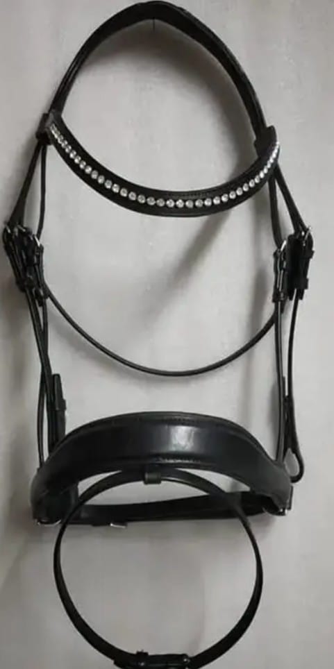 3990eae6 7033 4dcb 848c 916ade9e52f2