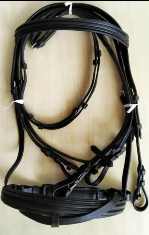 413eeabc 90e0 4ff8 a1e5 398f296b2b54