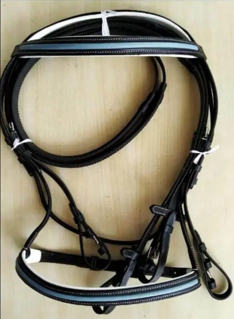 d6104772 71fd 4dbb b0cd 59d71d5d19ba