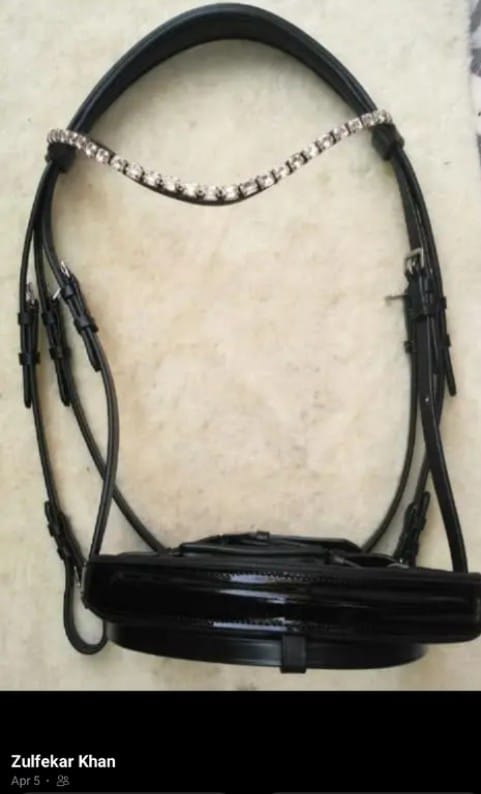 e3cff15e 5ea0 45dd a53a c09159c1c6f0