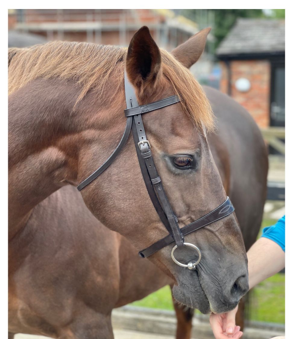 fee9e6d1 7b29 4b8e 8de2 d7df79c5a8f3